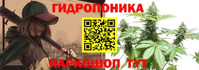 дмт Тулун