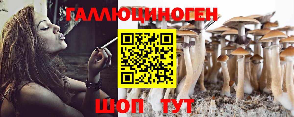 цены наркотик  Вход с VPN  Ярославль  Псилоцибиновые грибы мухоморы 