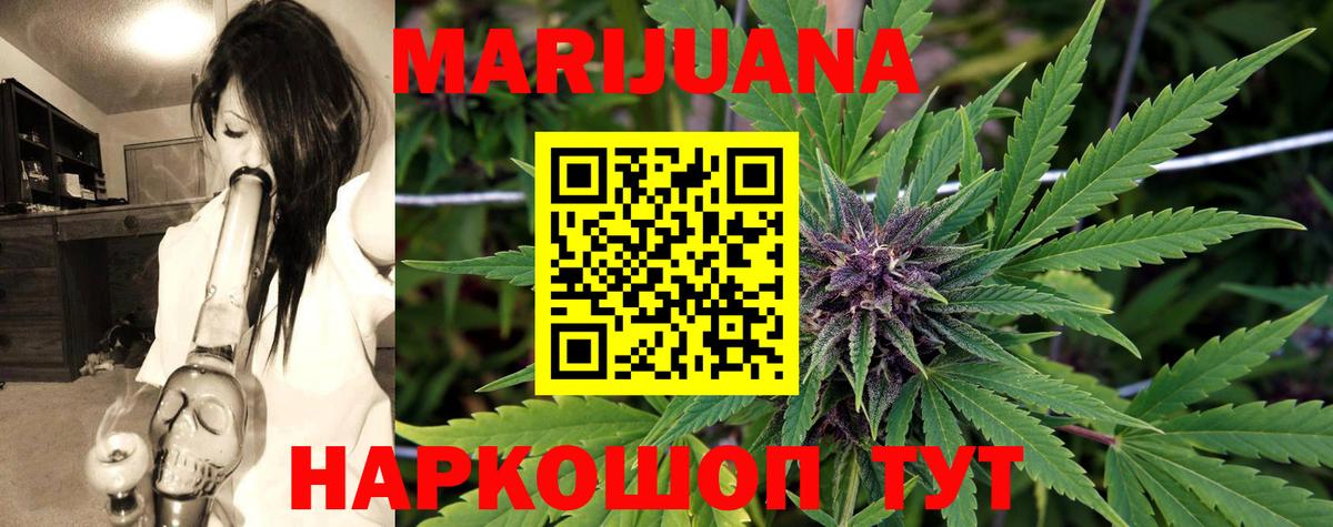Канабис OG Kush Ярославль
